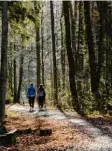  ??  ?? Immer schön: Eine Auszeit im Augsbur‰ ger Stadtwald.