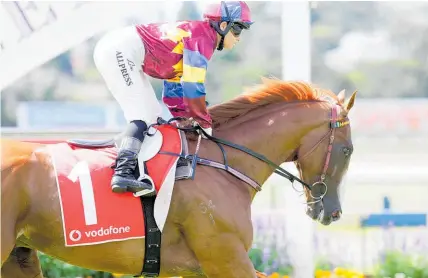  ?? Photo / Trish Dunell ?? Pentathlon finished ninth in the 2016 Melbourne Cup and just failed to make last year’s field.