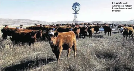  ??  ?? ILL-WIND: North America is a hotspot for methane caused by cattle