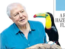  ??  ?? Toucan have a party: Sir David Attenborou­gh gets up close and personal with the banana-billed bird in Costa Rica