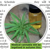  ??  ?? Medical cannabis will be legalised in autumn this year