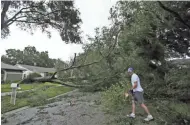  ?? CHRIS O’MEARA/AP ?? Brian Baker cuts up a fallen oak tree Monday after Hurricane Irma passed through the area in Valrico, Florida.