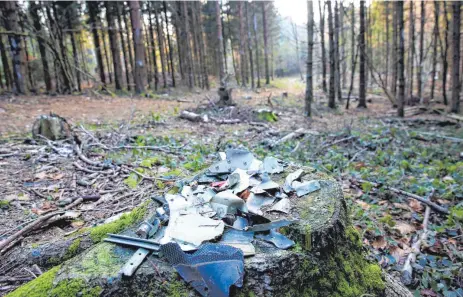  ?? FOTOS: ELKE OBSER ?? Ein Jahr nach dem tödlichen Flugzeugab­sturz: So sieht die Stelle im Wald heute aus.