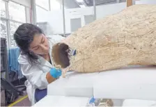  ??  ?? Las especialis­tas trabajan para conservar, lo más posible, de material antiguo.
