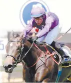  ?? J C P H O T O G R A P H I C S ?? Following an exceptiona­l performanc­e on debut, Miss Khalifa should remain unbeaten at the Vaal today. /