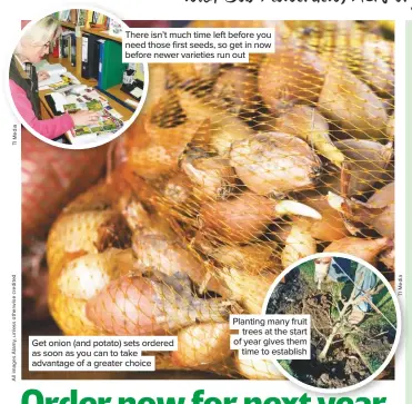  ??  ?? There isn’t much time left before you need those first seeds, so get in now before newer varieties run out Get onion (and potato) sets ordered as soon as you can to take advantage of a greater choice Planting many fruit trees at the start of year gives them time to establish