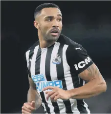  ??  ?? Newcastle United’s Callum Wilson.