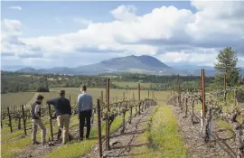  ?? Santiago Mejia / The Chronicle 2018 ?? Obsidian Wine Co. in Lake County uses local pears in its Pear Blanc. Founders Arpad Molnar (left), Peter Molnar and Michael Terrien at the vineyard.