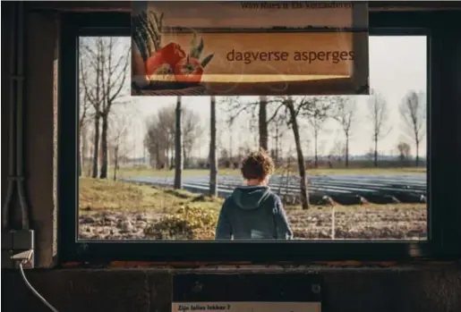  ??  ?? ‘Asperges steken is een delicaat werkje dat je niet in enkele uren leert’, zegt Els Vercautere­n.