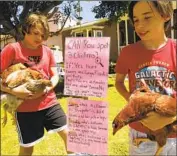  ?? AL SEIB Los Angeles Times ?? TWINS Canaan, left, and Caleb Rodriguez with their hand-drawn posters describing their three chickens.