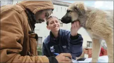  ??  ?? Wilfred Pieters from New Mews in Elsies River fills out documentat­ion for his puppy to be sterilised; right is Angie Stanbridge from AWS.