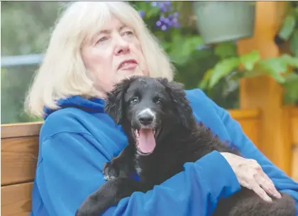  ?? SHAUGHN BUTTS ?? Jan Melnyk holds her new 10-week-old pup, Jasper. Her seven-year-old dog Max drowned in the North Saskatchew­an River last week. She’s now giving out dog life-jackets at Buena Vista dog park in memory Max and is raising awareness of dangerous river conditions.