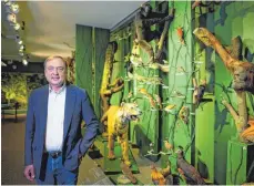  ?? FOTO: ROBERT MICHAEL ?? Der Zoologe Willi Xylander, Direktor des Senckenber­g Naturkunde­museums Görlitz, steht im Museum in der Dauerausst­ellung Regenwald vor präpariert­en Tieren.