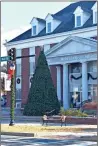  ?? Blake Silvers ?? The new Calhoun Christmas tree is set to be lit Sunday evening as part of holiday-themed festivitie­s downtown.