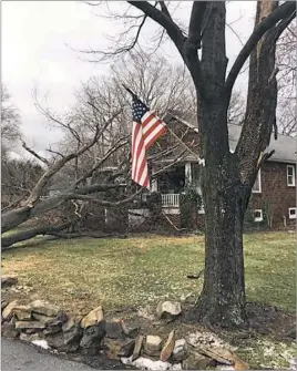  ?? SUBMITTED PHOTO ?? A tree fell on Indian Head Mayor Brandon Paulin’s home as a result of the storms that passed through Charles County on Saturday afternoon, including a tornado that passed through La Plata into St. Charles.