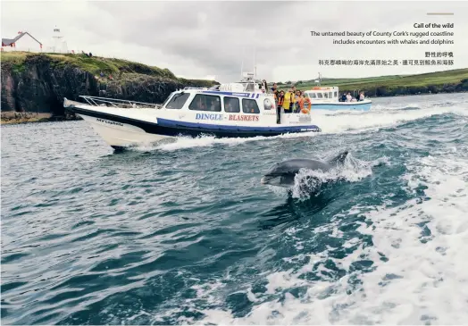  ??  ?? Call of the wild The untamed beauty of County Cork’s rugged coastline includes encounters with whales and dolphins
野性的呼喚科克郡嶙峋­的海岸充滿原始之美，還可見到鯨魚和海豚