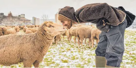  ?? FOTO: MIGU SCHWARZ ?? Hatte eine enge Bindung zu seinen Schafen: Sven de Vries.