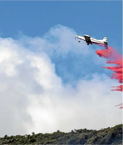  ?? ROSA WOODS, IAIN MCGREGOR (LEFT) /STUFF ?? Above: Flame retardant is dropped on the Walters Bluff fire. Left: Smoke clouds the Nelson sunset.Below: Chris Stewart, a volunteer for Animal Evac NZ, with new friends in Richmond. The charity was set up in May last year after the Edgecumbe floods.