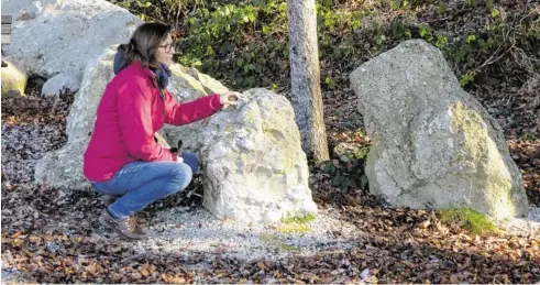  ?? BILD: SN/WOLFGANG TONIS ?? Einige der Findlinge wurden aus den Hohen Tauern im Gletschere­is bis ins Innviertel transporti­ert.