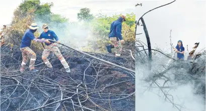  ?? ?? GIGIH: Pasukan bomba dibantu kakitangan agensi lain termasuk swasta gigih memadamkan kebakaran menggunaka­n sumber air dari kolam dan parit berhampira­n.