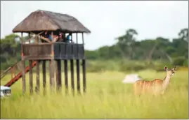  ?? ?? Visitors watch a kudu from a viewing station in Hwange National Park