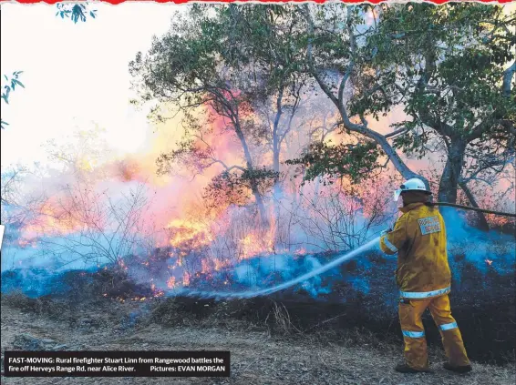  ?? Pictures: EVAN MORGAN ?? FAST- MOVING: Rural firefighte­r Stuart Linn from Rangewood battles the fire off Herveys Range Rd, near Alice River.