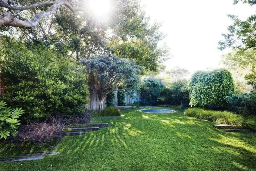  ??  ?? ABOVE “This is an oddly configured block – it’s triangular,” says Will. At the apex of the space is the sunken trampoline. The lawn is Sir Walter buffalo, chosen because it thrives in dappled sunlight. OPPOSITE, CLOCKWISE FROM TOP LEFT The garden is...