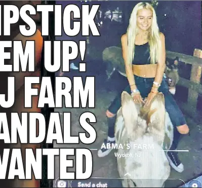  ??  ?? ROTTEN RODEO: This teen suspect allegedly tipped off the owners of Abma’s Farm in Wyckoff mid-break-in after she GPStagged a Snapchat post from the farm. Abma’s donkeys (below) are safe now, but one poor burro had to have lipstick wiped off.