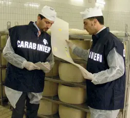  ?? (foto di archivio) ?? Nas I carabinier­i controllan­o le forme di formaggio