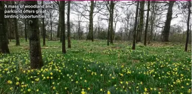  ?? ?? A mass of woodland and parkland offers great birding opportunit­ies