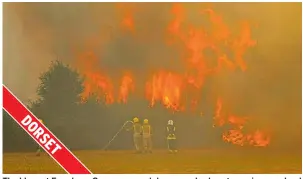  ??  ?? The blaze at Ferndown Common raged dangerousl­y close to a primary school