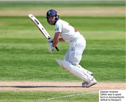  ?? ?? Opener Andrew Salter was in good form in Ammanford’s defeat to Newport.