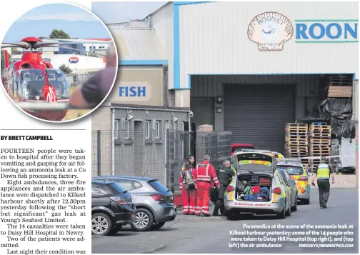  ?? PRESSEYE/NEWRAYPICS.COM ?? Paramedics at the scene of the ammonia leak at Kilkeel harbour yesterday; some of the 14 people who were taken to Daisy Hill Hospital (top right), and (top left) the air ambulance