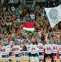  ?? Foto: Siegfried Kerpf ?? Mit nacktem Oberkörper lehnten sich die Fans an die Plexiglas-Umbandung der SSE Arena in Belfast und feierten die Augsburger Panther.