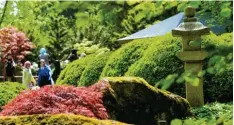  ?? Foto: Ruth Plössel ?? Der Japangarte­n im Botanische­n Garten wurde 1984 angelegt. Er zeichnet sich durch seine Teiche aus.