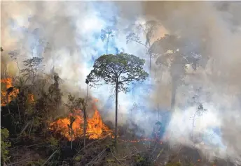  ?? file photo — AFP ?? Smoke rises from an illegally lit fire in Amazon rainforest reserve, south of Novo Progresso in Para state, Brazil.