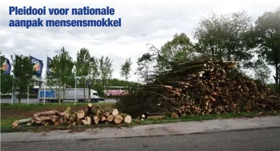  ?? FOTO MARC HERREMANS ?? Aan de snelwegpar­king van Ranst ( E313 ) werden in april bomen gekapt in de strijd tegen transmigra­nten.