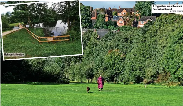  ?? PETER BANKS ?? Fishponds Meadow
A dog walker in Ashbourne’s Recreation Ground