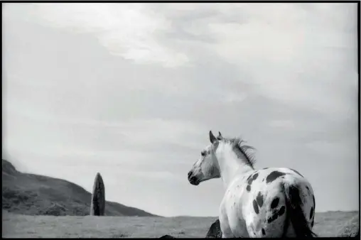  ??  ?? Above: Stallion and Standing Stone, 1996. Right: Paul, 1970. Used as the album cover of Ram.