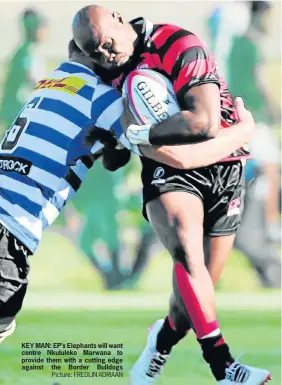  ?? Picture: FREDLIN ADRIAAN ?? KEY MAN: EP’s Elephants will want centre Nkululeko Marwana to provide them with a cutting edge against the Border Bulldogs