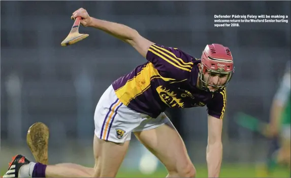  ??  ?? Defender Pádraig Foley will be making a welcome return to theWexford Senior hurling squad for 2018.