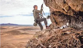  ?? PHOTOS BY SPENSER HEAPS/AP ?? Hawkwatch Internatio­nal field biologist Max Carlin returns a golden eagle nestling to its nest after his team collected samples and data from it in a remote area of Box Elder County, Utah.