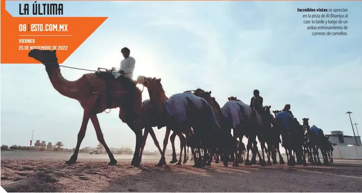  ?? FOTOS: ÉRIK ESTRELLA / ENVIADO ?? Increíbles vistas se aprecian en la pista de Al Shaniya al caer la tarde y luego de un arduo entrenamie­nto de carreras de camellos.