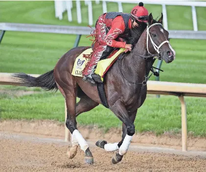 What are some tips for decoding horse racing stats? - PressReader