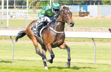  ?? Photo / Race Images ?? Hiflyer is making impressive progress and has an eye on a trip back to Melbourne later this year.