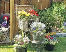  ?? PHOTOS: WINSTON GORETSKY ?? Calgary’s iffy spring weather can be overcome by planting in containers.