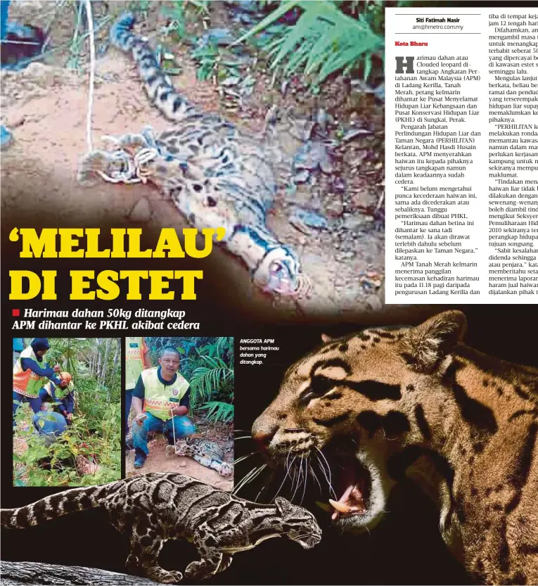  ??  ?? ANGGOTA APM bersama harimau dahan yang ditangkap.