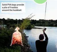  ??  ?? Solid PVA bags provide a pile of freebies around the hookbait