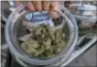  ?? RICHARD VOGEL — THE ASSOCIATED PRESS FILE ?? One of an assortment of marijuana strains are displayed during the High Times Harvest Cup in San Bernardino. On Friday, California began accepting applicatio­ns from businesses that want to operate in the state’s legal marijuana industry next year, a...