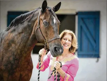  ?? ALLEN EYESTONE / THE PALM BEACH POST ?? Roxanne Stein, former WPTV-Channel 5 news anchor and now president of the Wellington Chamber of Commerce, holds the reins of Bamboo, her Hanoverian horse. Stein says the chamber’s membership is younger and more female than it was 10 years ago, and the largest sector of the businesses it represents are in health care.